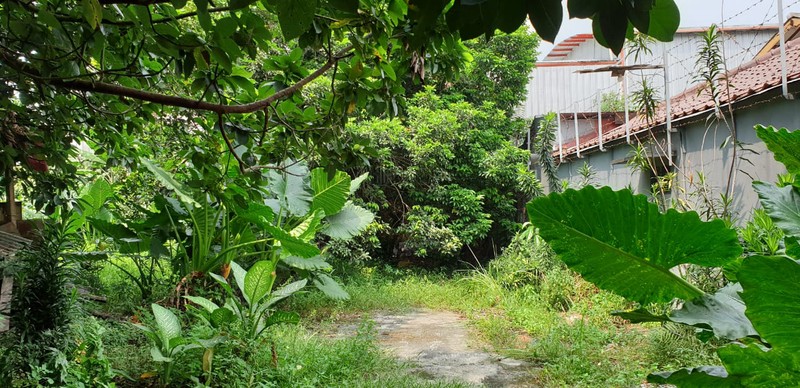 Dijual Tanah di Kebayoran Lama