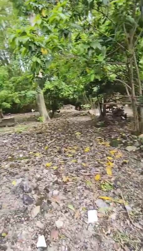 Dijual Tanah Lokasi Premium di area Jalan Kaliurang - Sleman 