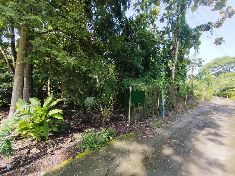 Tanah Luas 354 Meter Persegi Lokasi Strategis di Dusun Kasihan - Bantul