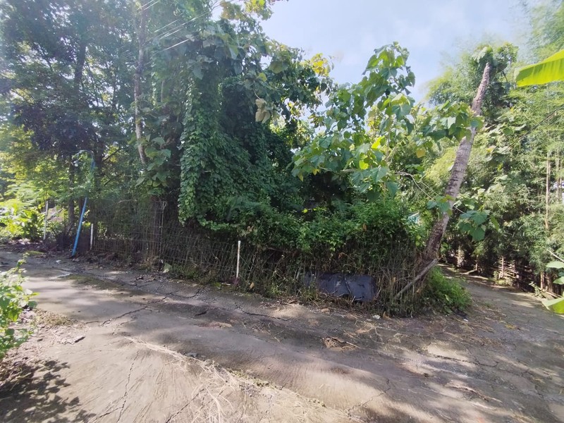 Tanah Luas 354 Meter Persegi Lokasi Strategis di Dusun Kasihan - Bantul