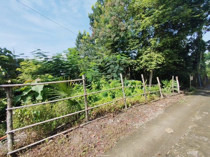 Tanah Luas 354 Meter Persegi Lokasi Strategis di Dusun Kasihan - Bantul