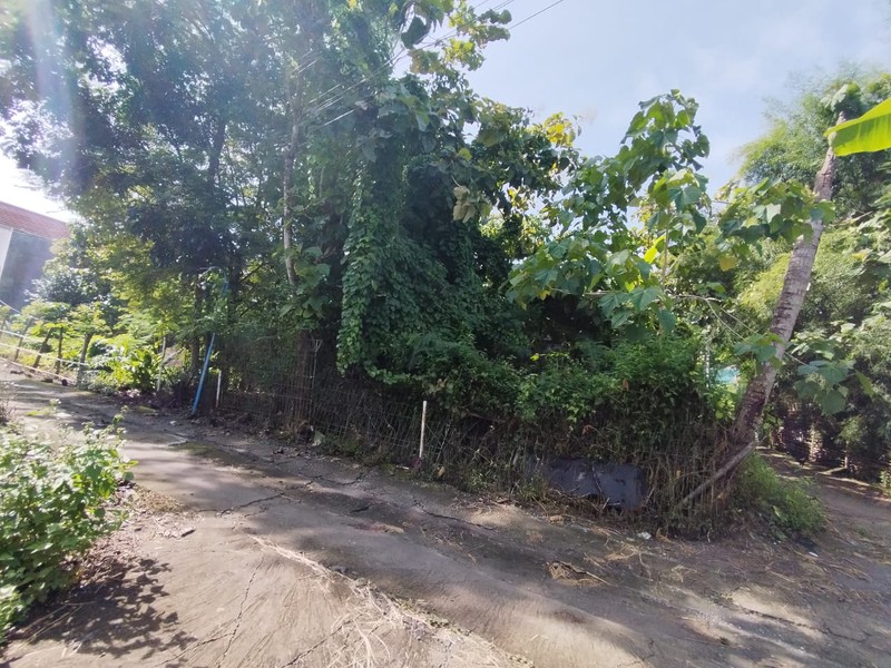 Tanah Luas 354 Meter Persegi Lokasi Strategis di Dusun Kasihan - Bantul