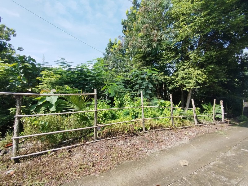 Tanah Luas 354 Meter Persegi Lokasi Strategis di Dusun Kasihan - Bantul