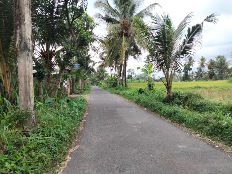 Tanah dan Gudang Di Widomartani Sleman