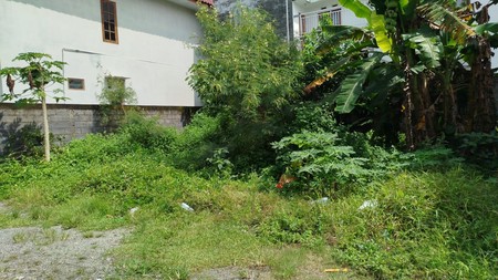 Tanah Strategis di Mlati Sleman Hanya 5 Menit ke Pintu Tol Cebongan & Ring Road