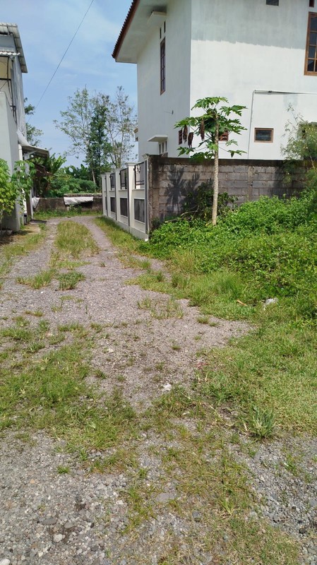 Tanah Strategis di Mlati Sleman Hanya 5 Menit ke Pintu Tol Cebongan & Ring Road