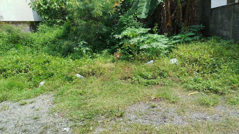 Tanah Strategis di Mlati Sleman Hanya 5 Menit ke Pintu Tol Cebongan & Ring Road