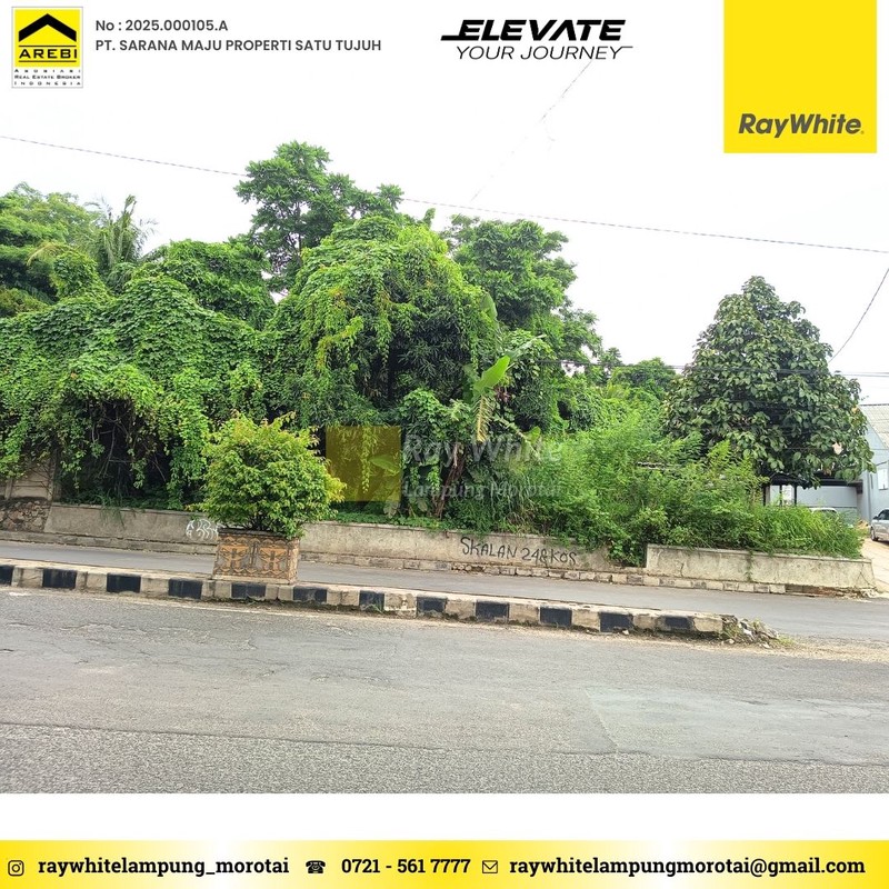 TANAH DISEWAKAN PRAMUKA BANDAR LAMPUNG