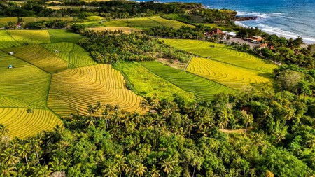 Land Freehold Close Soka Beach Tabanan Bali