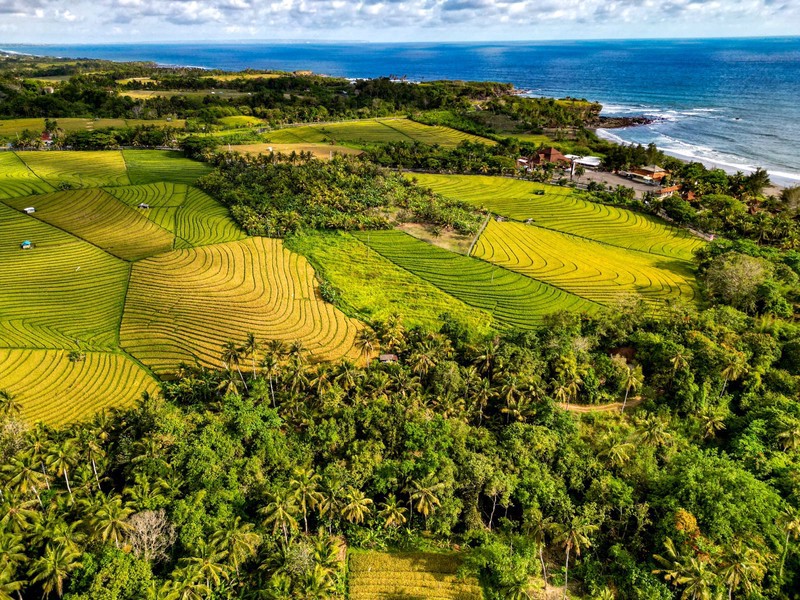 Land Freehold Close Soka Beach Tabanan Bali