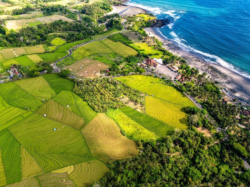 Land Freehold Close Soka Beach Tabanan Bali