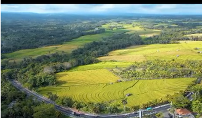 Land Freehold Close Soka Beach Tabanan Bali
