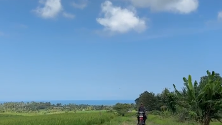 Land Freehold With Mountain View In Tabanan Bali