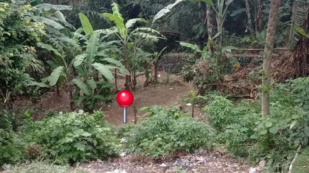 Land Freehold In Dalung Bali