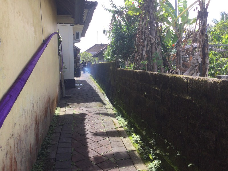 Land Freehold In Dalung Bali