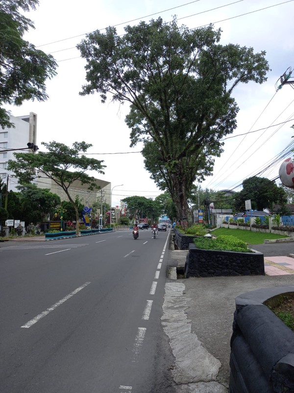 Dijual Lahan Premium 1.040 Meter Persegi di Jantung Bisnis Kota Magelang Lokasi Strategis di Jl. Jend. Sudirman