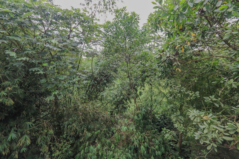 Rumah Mewah Asri di Rancamaya Bogor, akses ke Sentul City Puncak  