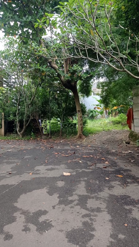 Kavling Kuldesak  Lokasi Private & Asri Griya Loka BSD