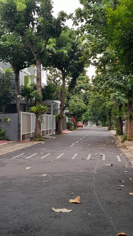 Kavling Kuldesak  Lokasi Private & Asri Griya Loka BSD