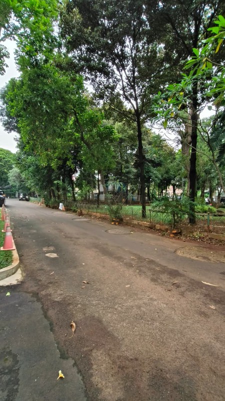 Disewakan Rumah Asri Nyaman Lokasi Di Jl. Cisanggiri, Petogogan, Kebayoran Baru, Jakarta Selatan