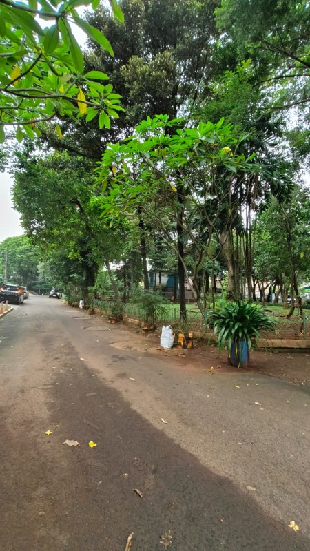 Disewakan Rumah Asri Nyaman Lokasi Di Jl. Cisanggiri, Petogogan, Kebayoran Baru, Jakarta Selatan