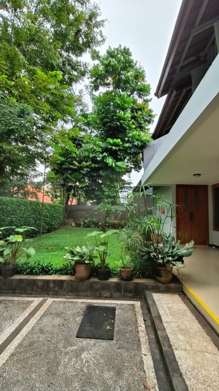 Disewakan Rumah Asri Nyaman Lokasi Di Jl. Cisanggiri, Petogogan, Kebayoran Baru, Jakarta Selatan