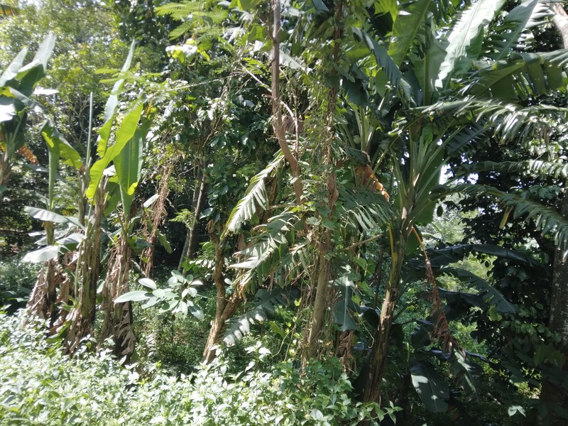 KAVLING LUAS UNTUK PERUMAHAN DI JATIRADEN KRANGGAN BISA UNTUK TOWN HOUSE