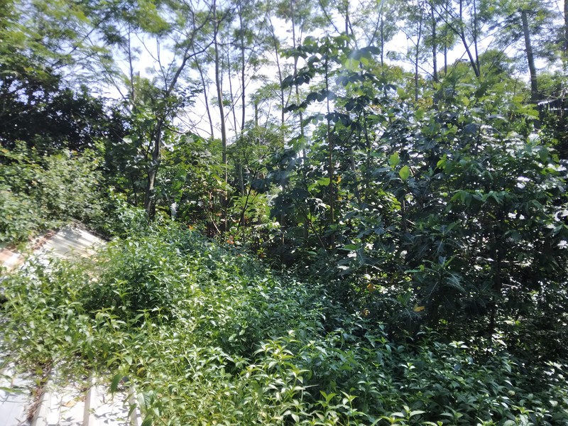 KAVLING LUAS UNTUK PERUMAHAN DI JATIRADEN KRANGGAN BISA UNTUK TOWN HOUSE