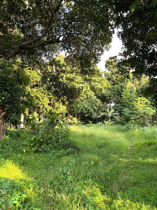 Tanah 1.2 Hektar di Jl. Pertamina Jatisampurna Bekasi 