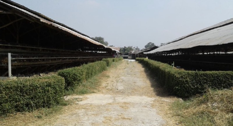 Kavling Raya Kedaung, Mustika Jaya, Bekasi, Ex. peternakan