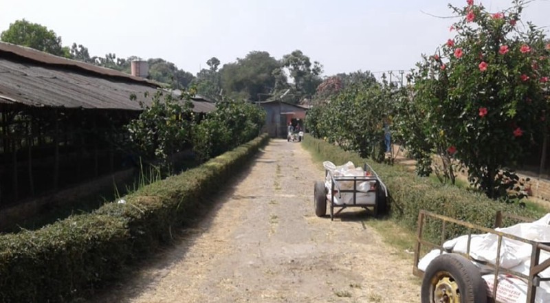 Kavling Raya Kedaung, Mustika Jaya, Bekasi, Ex. peternakan