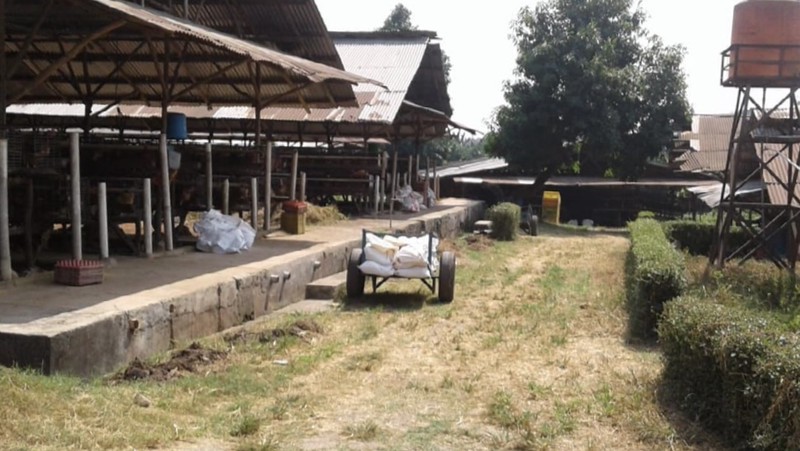 Kavling Raya Kedaung, Mustika Jaya, Bekasi, Ex. peternakan