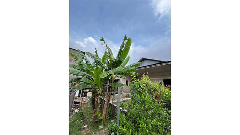 Rumah Jl Sultan Agung Tirtayasa, Pinang, Kunciran Indah, Tangerang