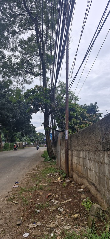 Tanah Di Sewakan di Jl. Raya Ciangsana Bogot