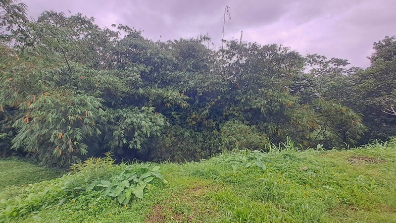 Tanah kavling view indah di Rancamaya Bogor akses ke Sentul City 