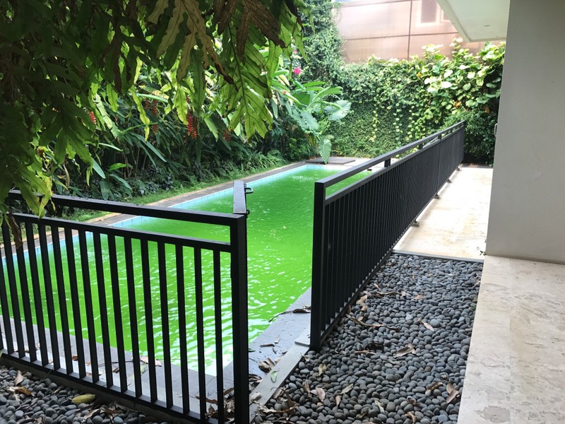 For rent Nice House Near Dharmawangsa Square