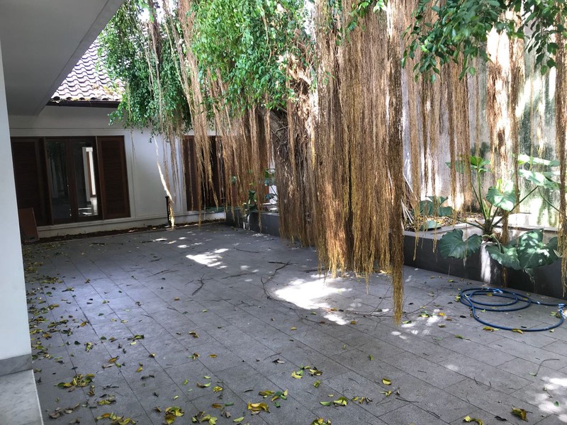 Big and Beautiful House For Rent