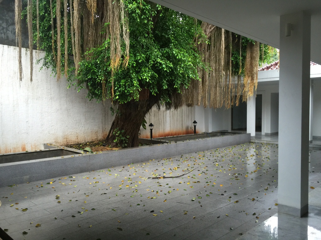 Big and Beautiful House For Rent