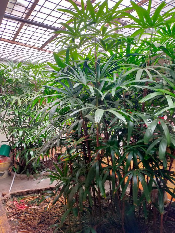 Jual Rumah Kupang Indah Surabaya