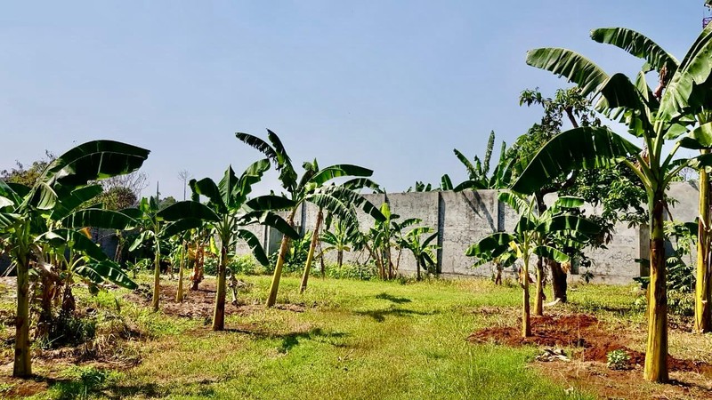 Kavling Siap Bangun Di Pisok Bintaro Jaya Sektor 5.