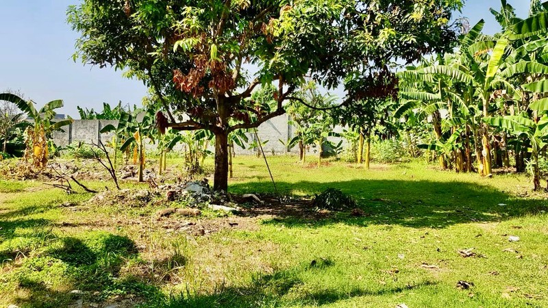 Kavling Siap Bangun Di Pisok Bintaro Jaya Sektor 5.