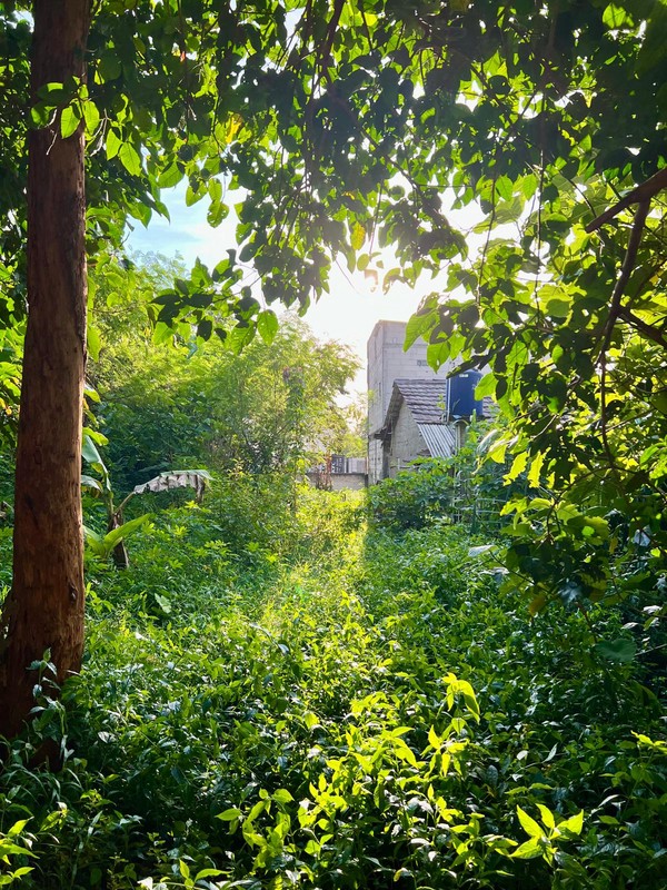 TANAH LUAS UNTUK PERUMAHAN 1,2 HEKTAR BUTUH CEPAT TERJUAL LOKASI BAGUS