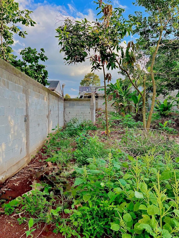 TANAH LUAS UNTUK PERUMAHAN 1,2 HEKTAR BUTUH CEPAT TERJUAL LOKASI BAGUS