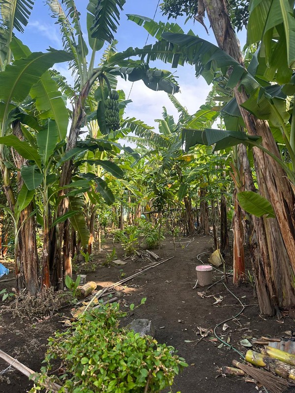 Dijual Tanah 506 Meter Persegi Dekat Jalan Kaliurang Siap Bangun Kavling atau Hunian Mewah, Sariharjo, Ngaglik, Sleman