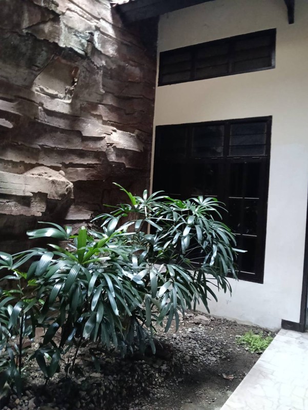 Disewakan Rumah Luas Bagus Siap Huni di Tenggilis Timur