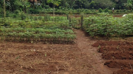 Lahan Luas dan Strategis di Ciampea, Bogor. Harga dibawah pasaran.