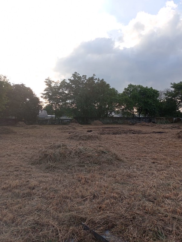 Kavling di Balaraja Siap Bangun Dehat Pintu Tol