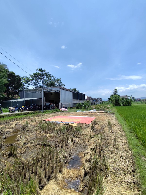 Tanah Luas Siap Bangun, Cocok untuk Hunian atau Investasi, Baturetno, Banguntapan, Bantul