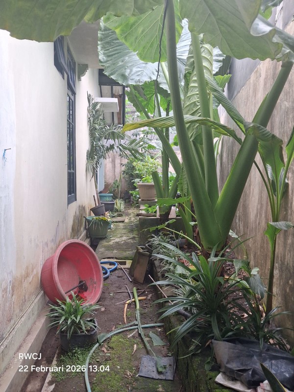 Hunian Idaman Keluarga Rumah Luas 359 Meter Persegi di Nogotirto, Sleman Siap Huni