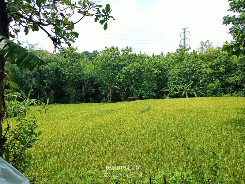 Dijual Tanah Luas 2.485 Meter Persegi di Jalur Utama Patuk  Investasi di Beji, Patuk, Gunungkidul